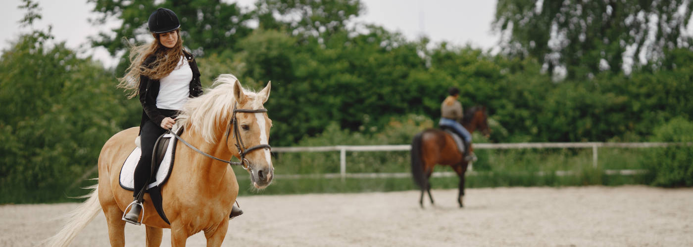 Featured Image for Delfina Saddlery Inc.